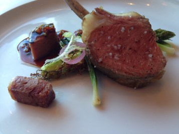 11.5 C9 Michelle's Lamb